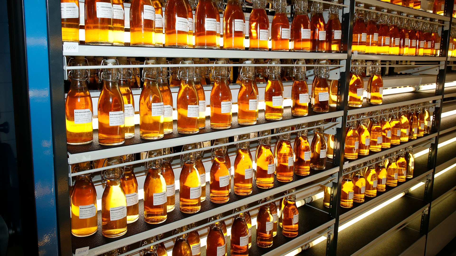 Mehrere Reihen von gefüllten Glasflaschen mit goldener Flüssigkeit stehen auf Metallregalen. Die Beleuchtung betont die warme Farbe des Inhalts.