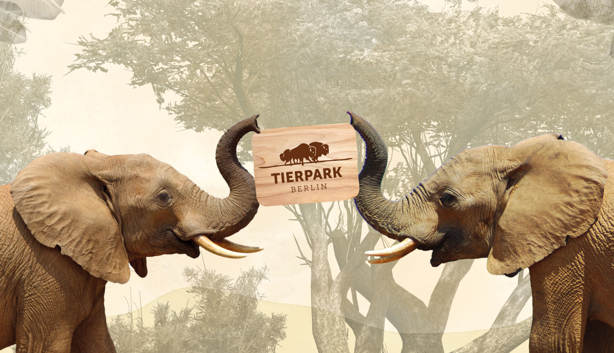 2 Elefanten halten mit ihren Rüsseln ein Schild mit der Aufschrift Tierpark Berlin hoch, im Hintergrund sind Bäume zu sehen.