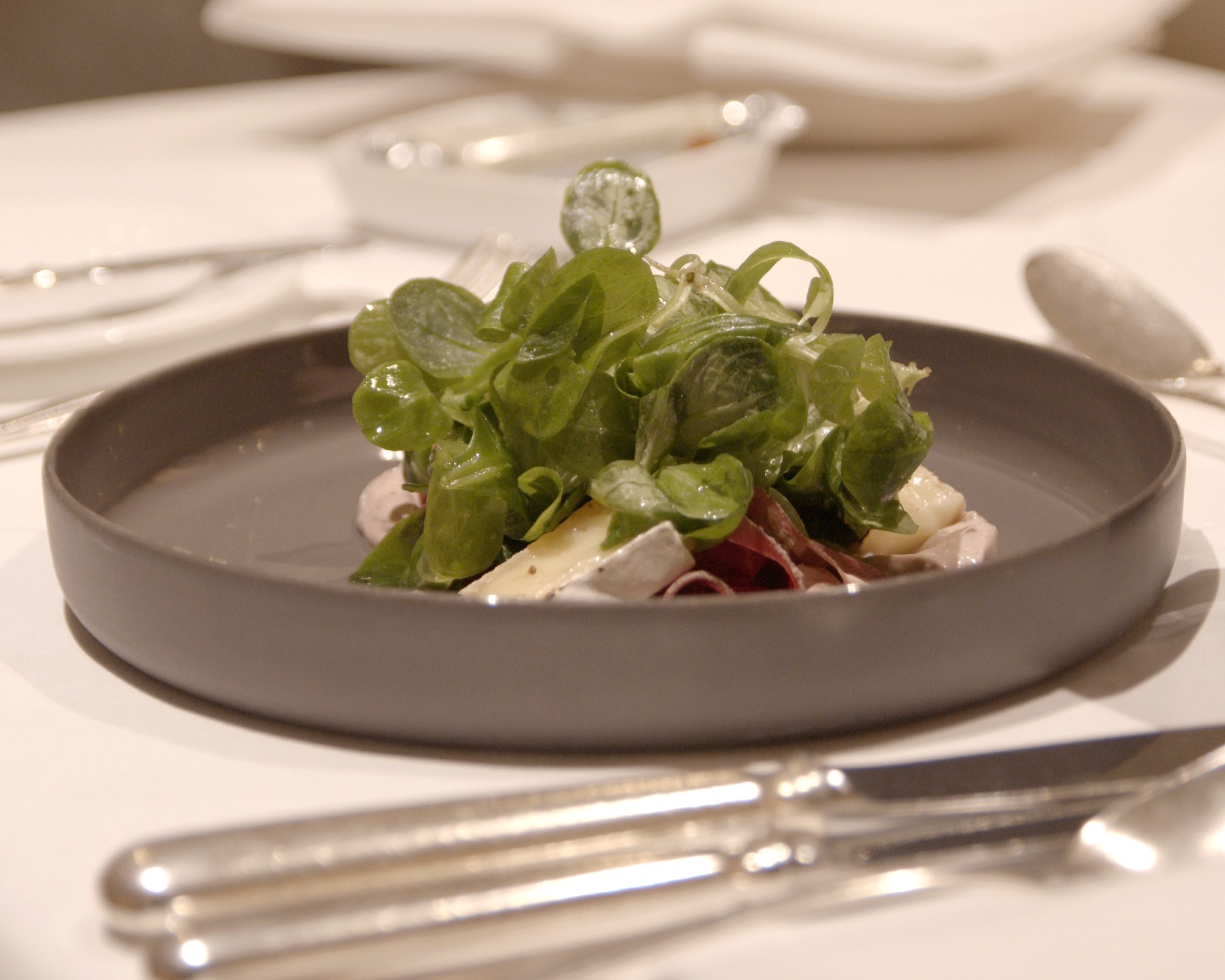 Ein frischer Salat mit grünen Blättern und rotem Gemüse liegt auf einem grauen Teller.